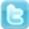 Description: Description: twitter_logo_300x300